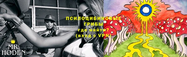 a pvp Нея