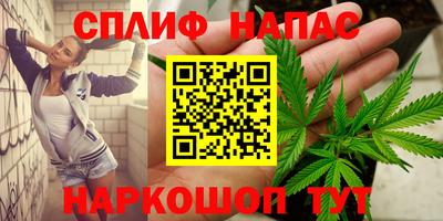 Альфа ПВП Можга