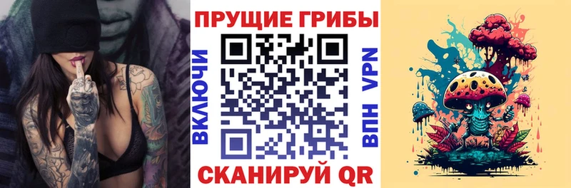 закладка  Хасавюрт  ОМГ ОМГ ONION  Галлюциногенные грибы мицелий 
