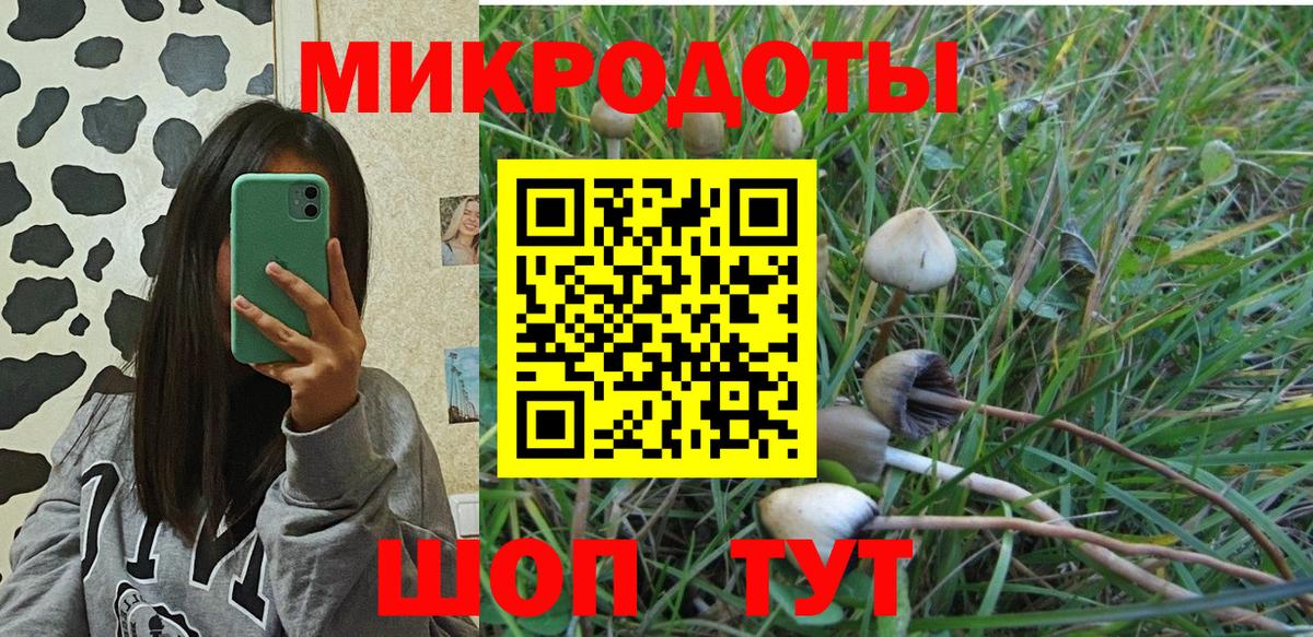 Хасавюрт  Псилоцибиновые грибы мицелий  Вход с VPN 