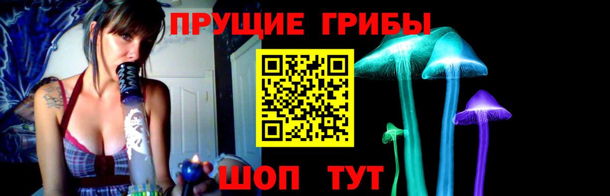 Галлюциногенные грибы Cubensis Хасавюрт